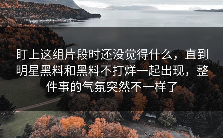 盯上这组片段时还没觉得什么,直到明星黑料和黑料不打烊一起出现,整件事的气氛突然不一样了 第1张 盯上这组片段时还没觉得什么,直到明星黑料和黑料不打烊一起出现,整件事的气氛突然不一样了 第1张