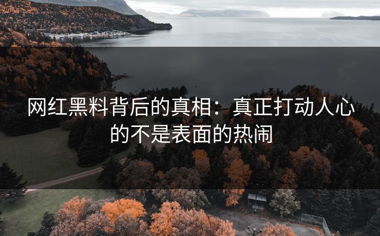 网红黑料背后的真相：真正打动人心的不是表面的热闹