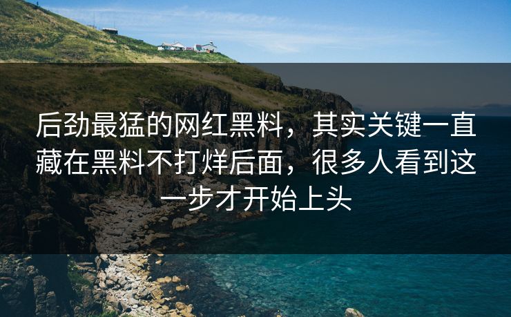 后劲最猛的网红黑料，其实关键一直藏在黑料不打烊后面，很多人看到这一步才开始上头